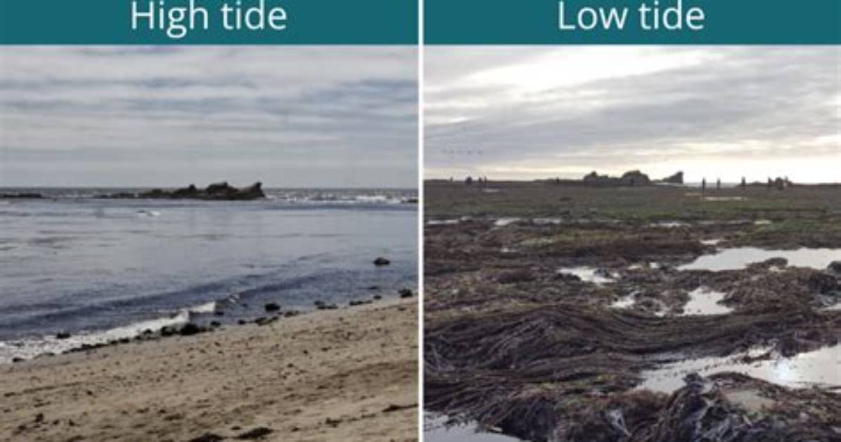 How Long Is High Tide