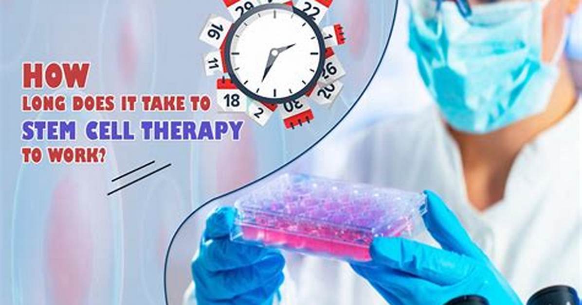 How Long Is One Cell?