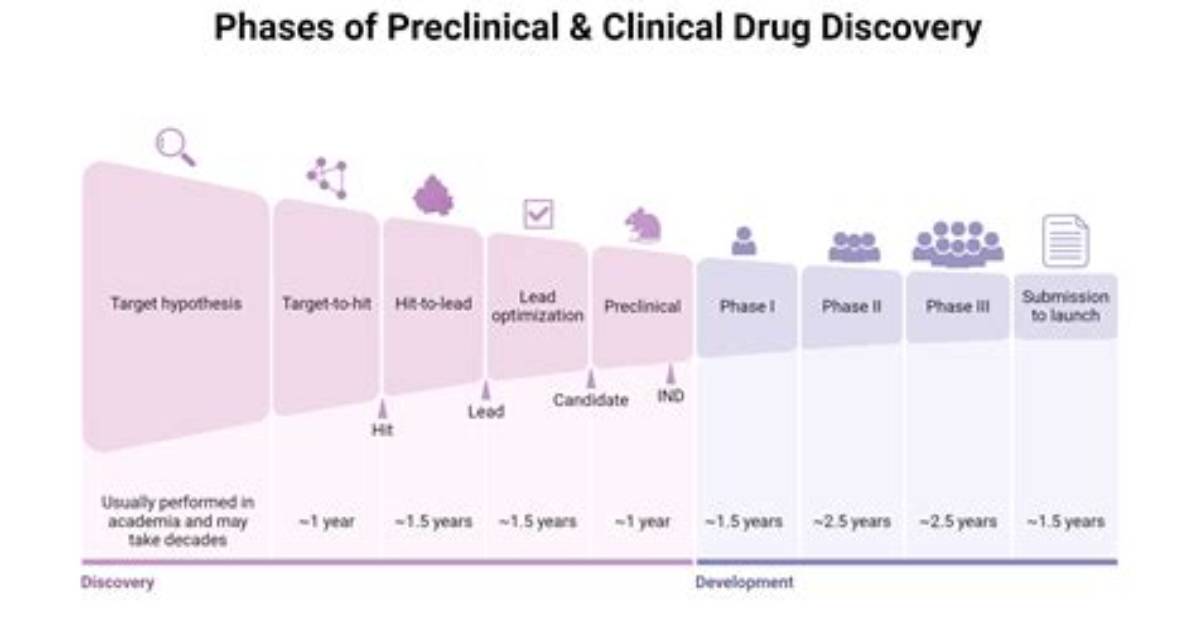 How Long Is Preclinical Phase?