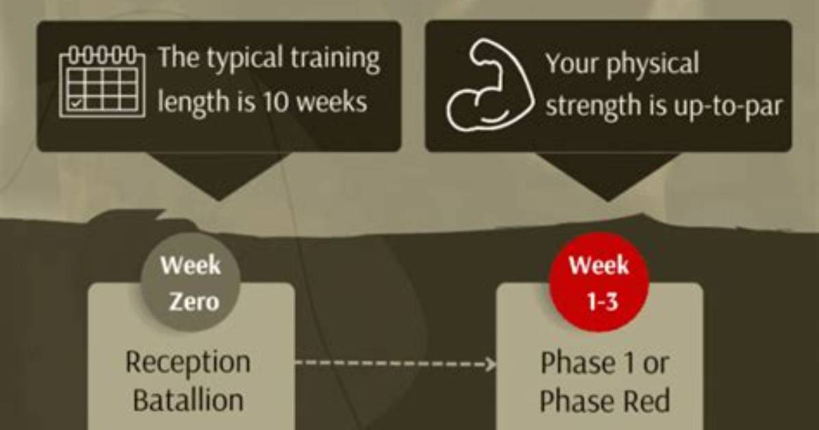 How Long Is Us Army Basic Training
