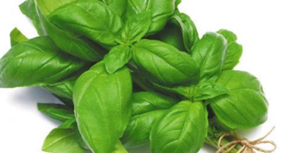 How Many Basil Leaves Make a Bunch?