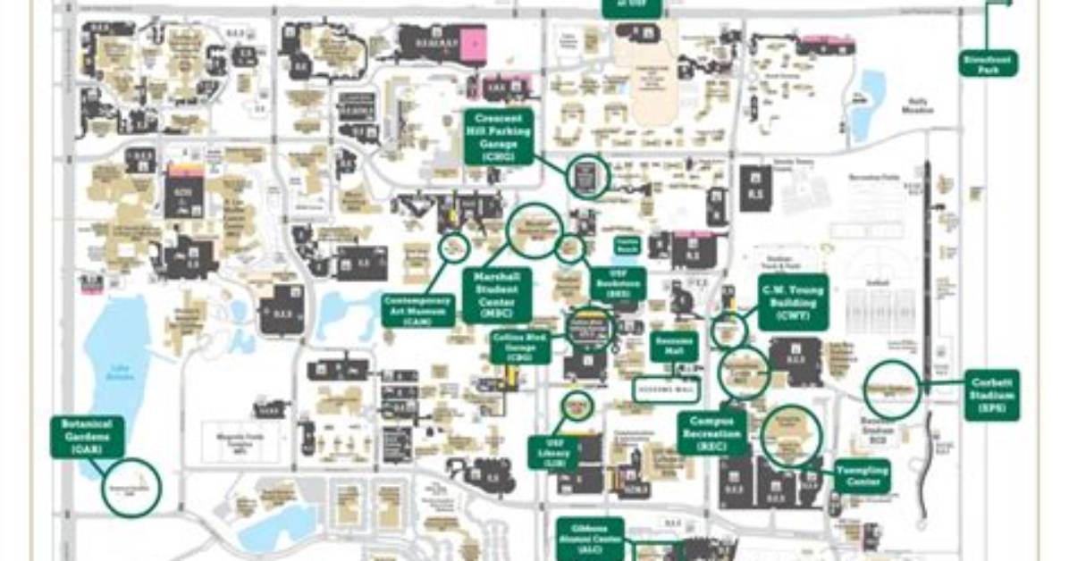 How Many Colleges Does Usf Have