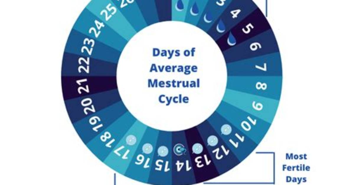 How Many Days Does It Take to Get to Jupiter