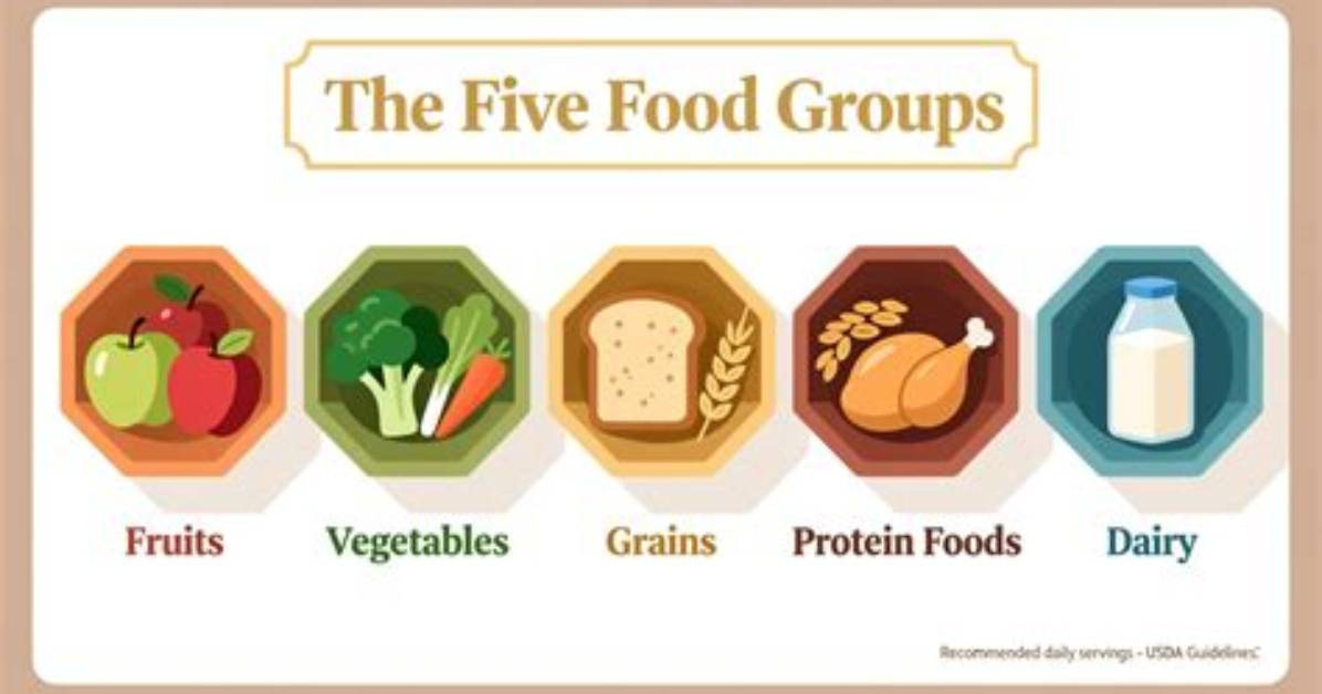 How Many Different Food Groups Are There?