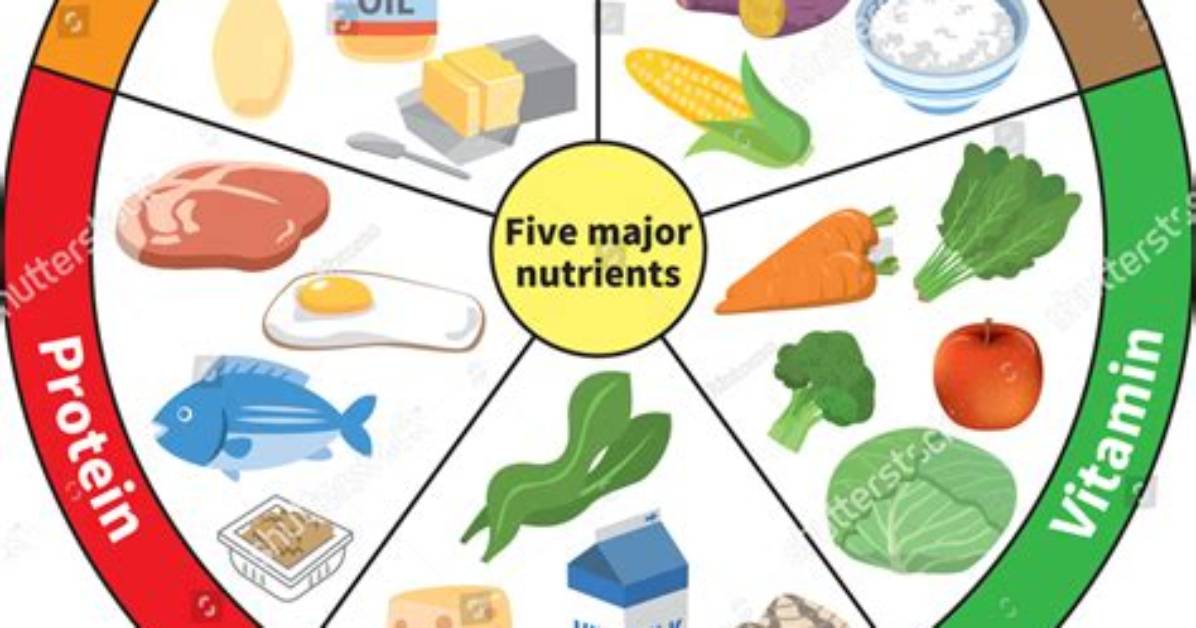 How Many Different Nutrients Are There?