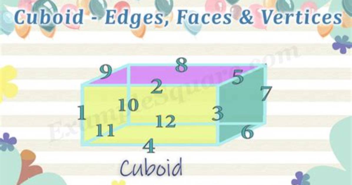 How Many Edges Does a Cuboid Have?