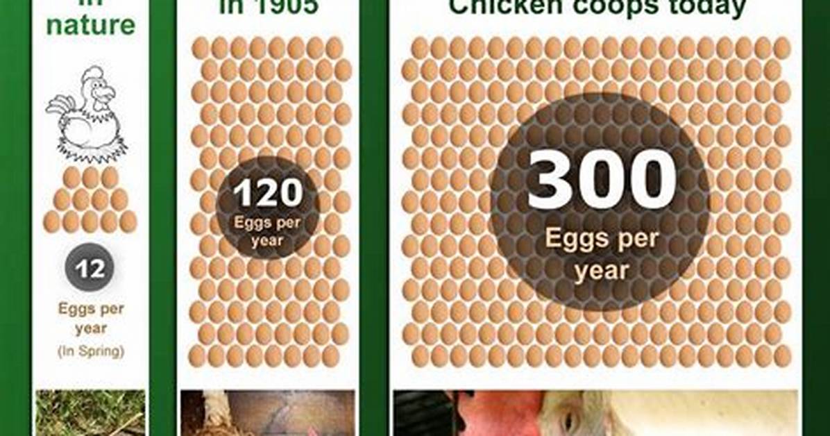How Many Eggs Does a 30 Year Old Have Left?