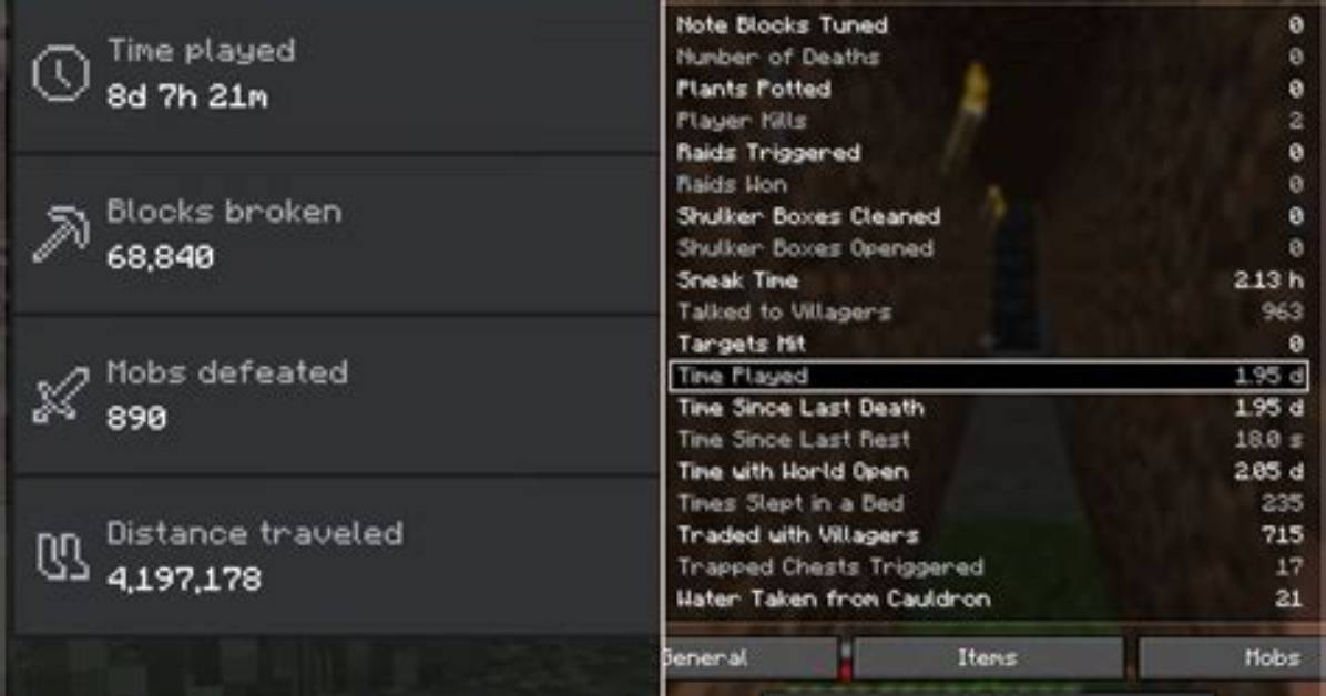 How Many Hours on Minecraft