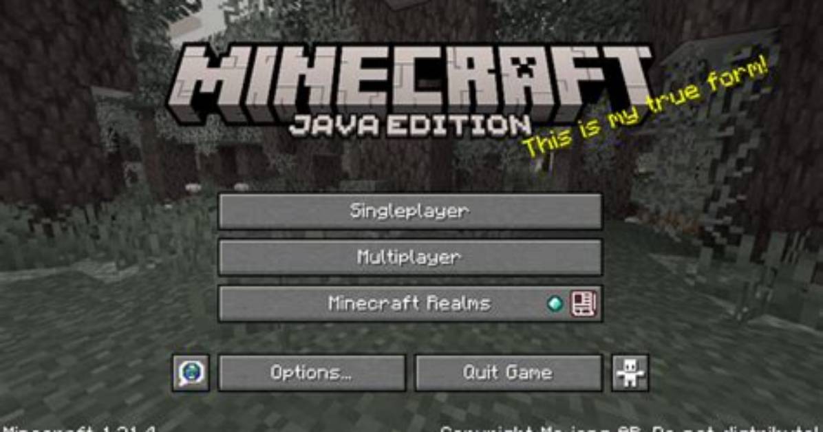How Many Java Version Do I Have Linux?