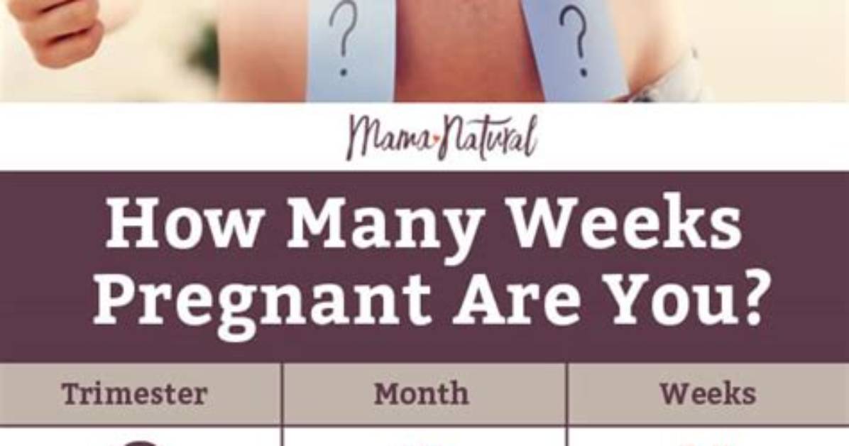 How Many Months Is 10 Weeks