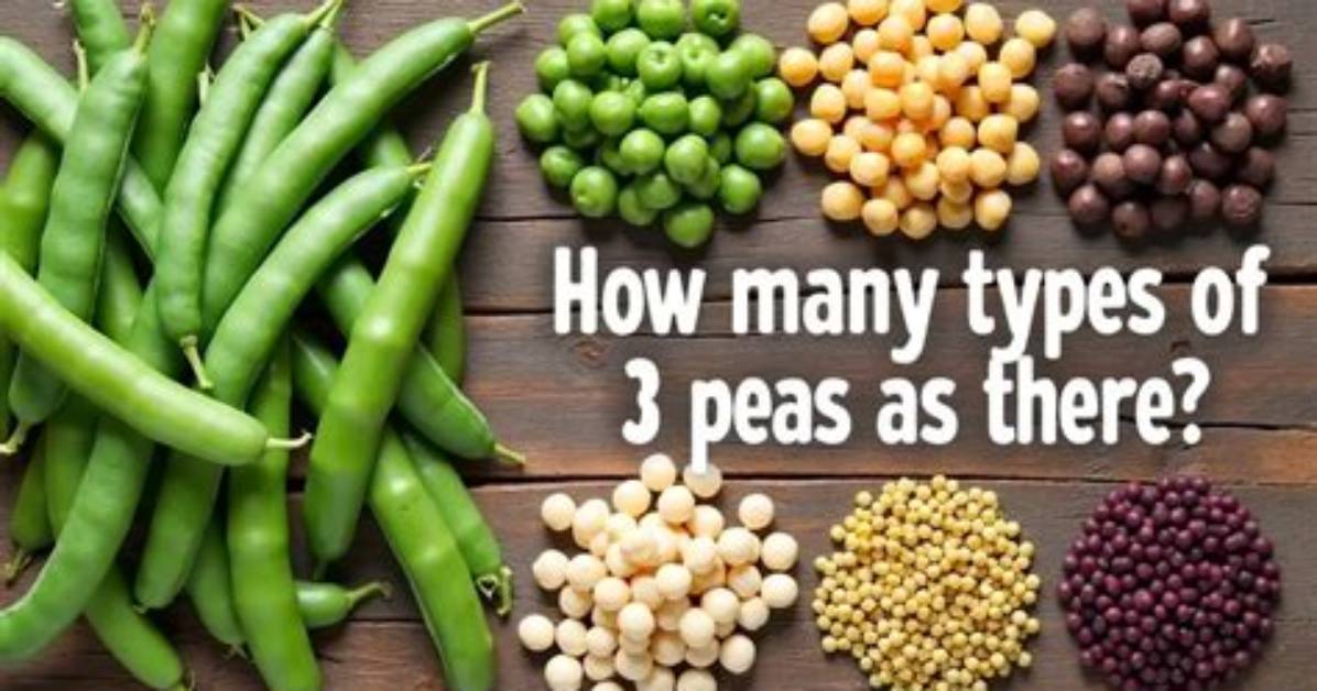 How Many Peas Are There?