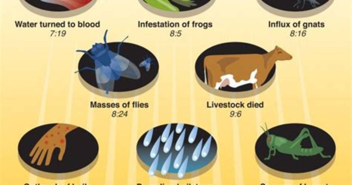 How Many Plagues Befell Egypt?