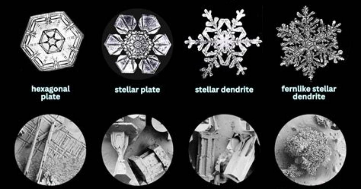 How Many Points Does a Snowflake Have