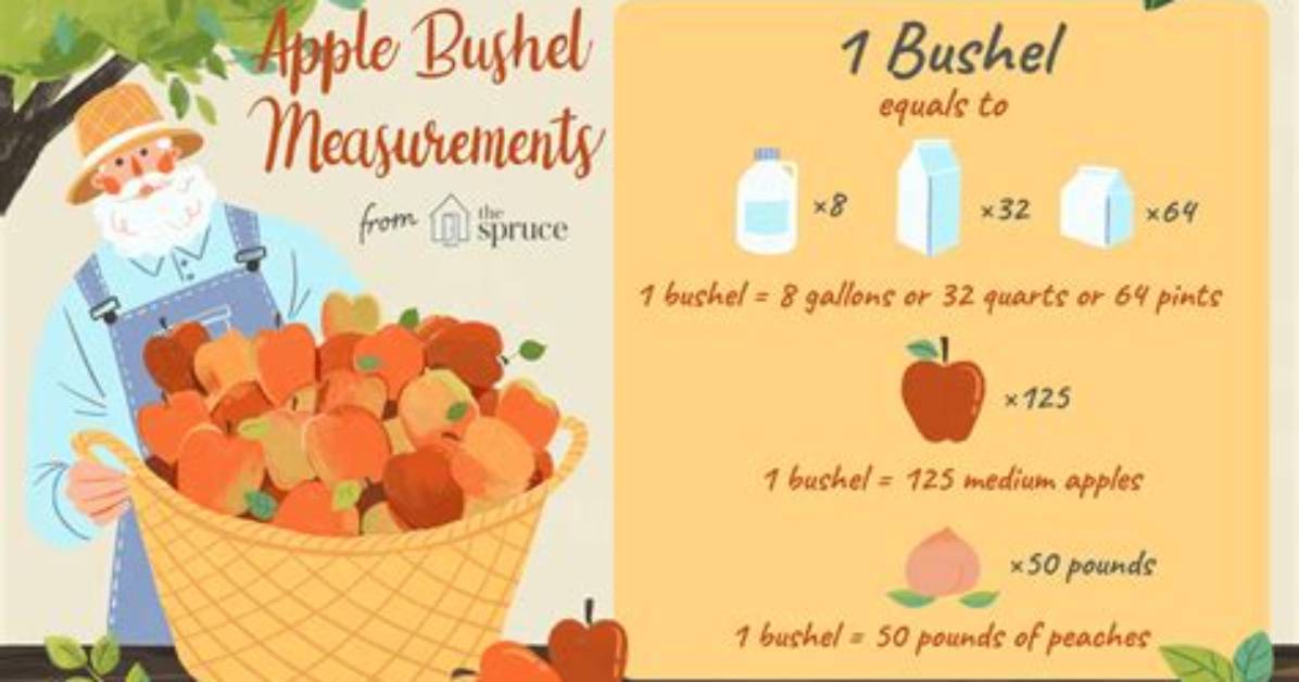 How Many Pounds Is a Half Bushel of Tomatoes?