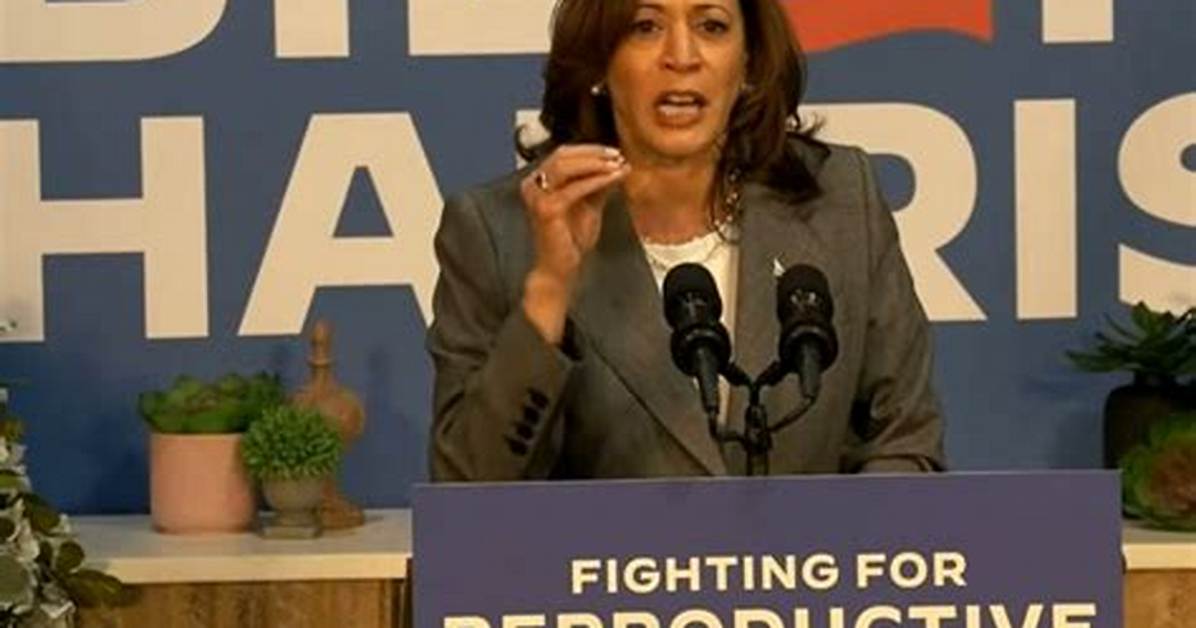 How Many Relationships Has Kamala Harris Had?