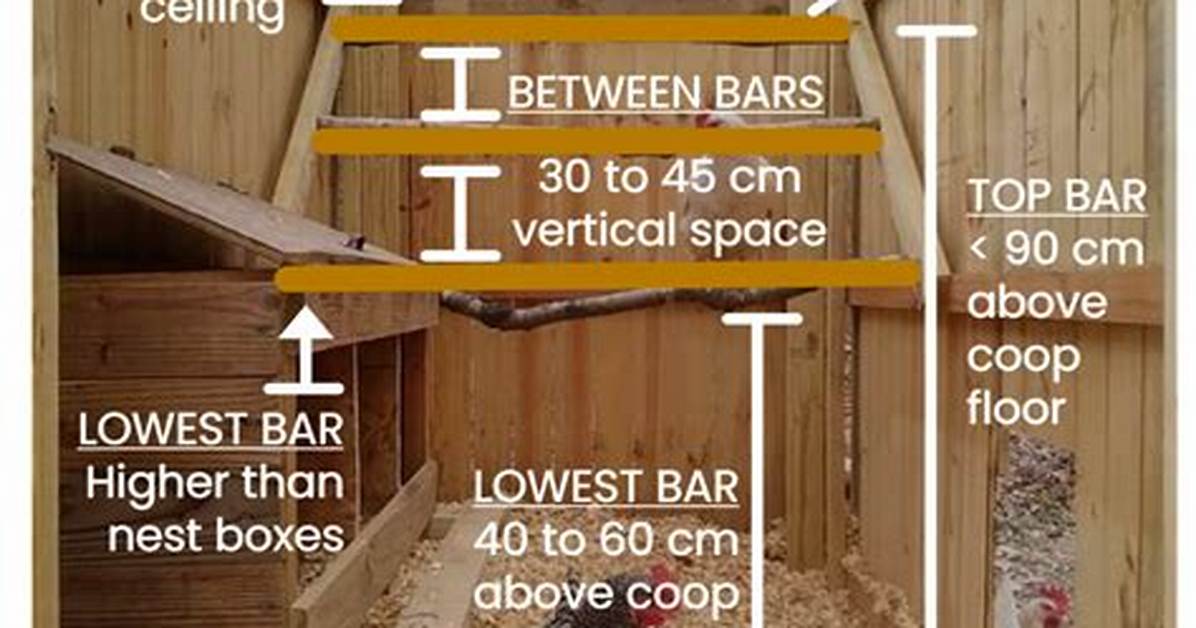 How Many Roosting Bars?