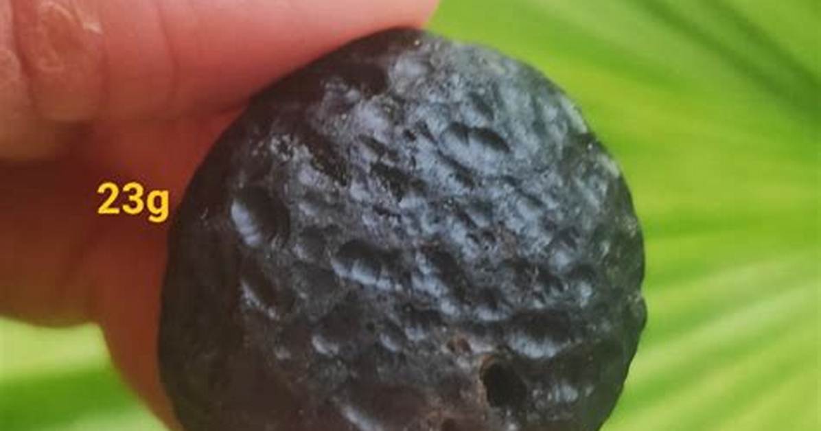 How Many Tektites Are There?