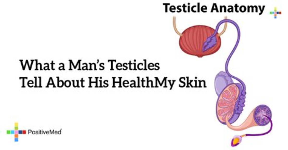 How Many Testicles Does a Man Have?