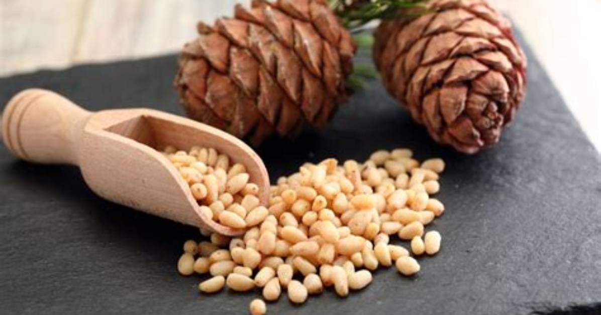 How Much Are Pine Nuts?