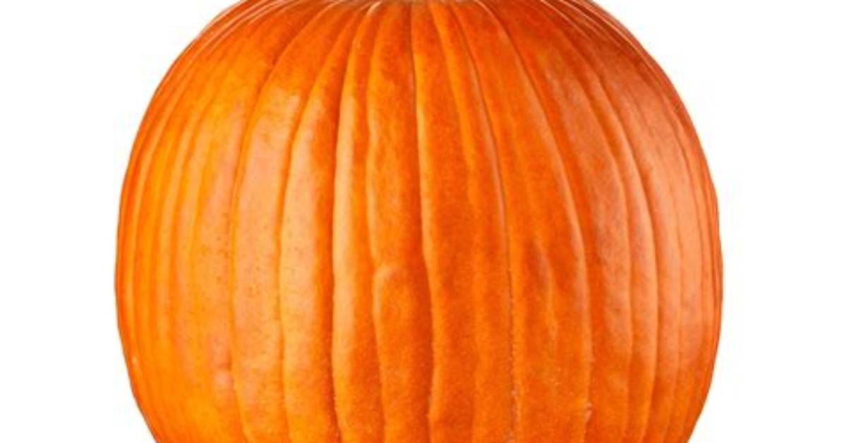 How Much Are Real Pumpkins
