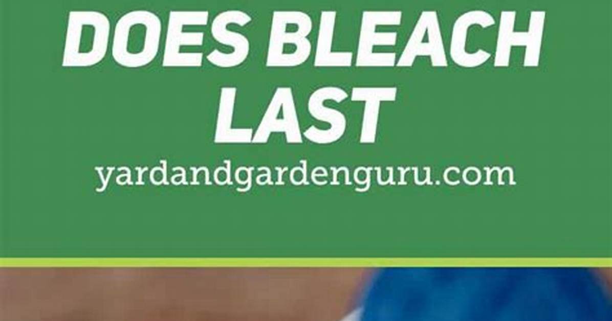 How Much Bleach Does It Take to Kill Algae