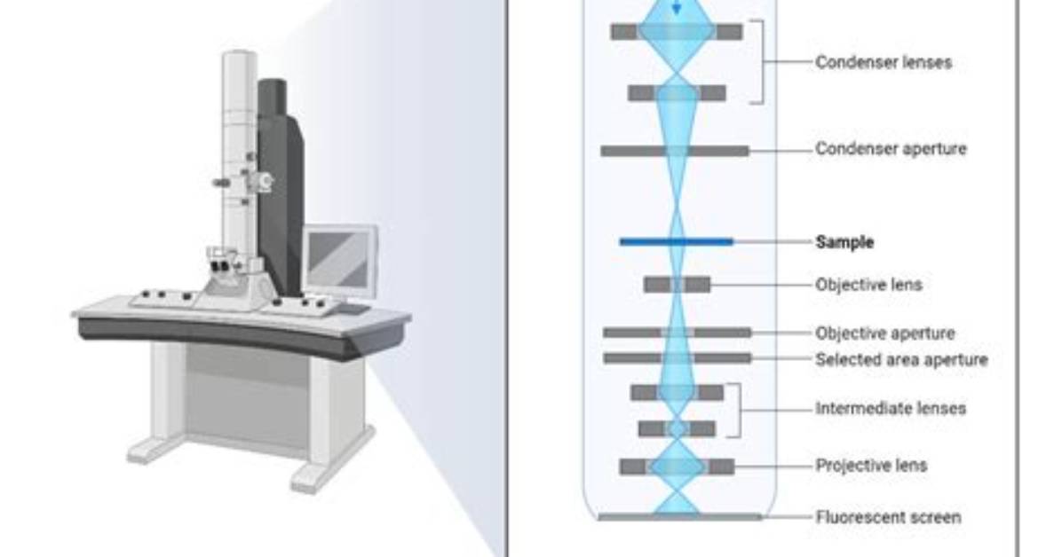 How Much Can an Electron Microscope Magnify