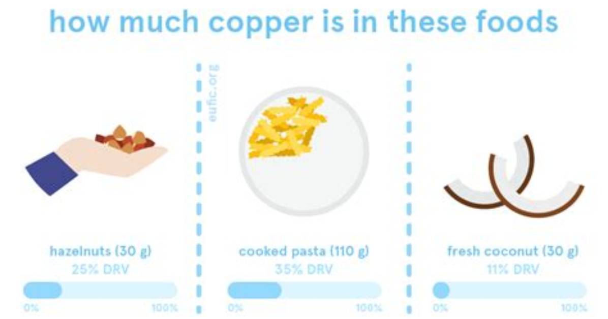 How Much Copper Do You Need a Day