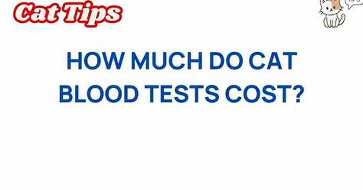 How Much Do Blood Tests for Cats Cost