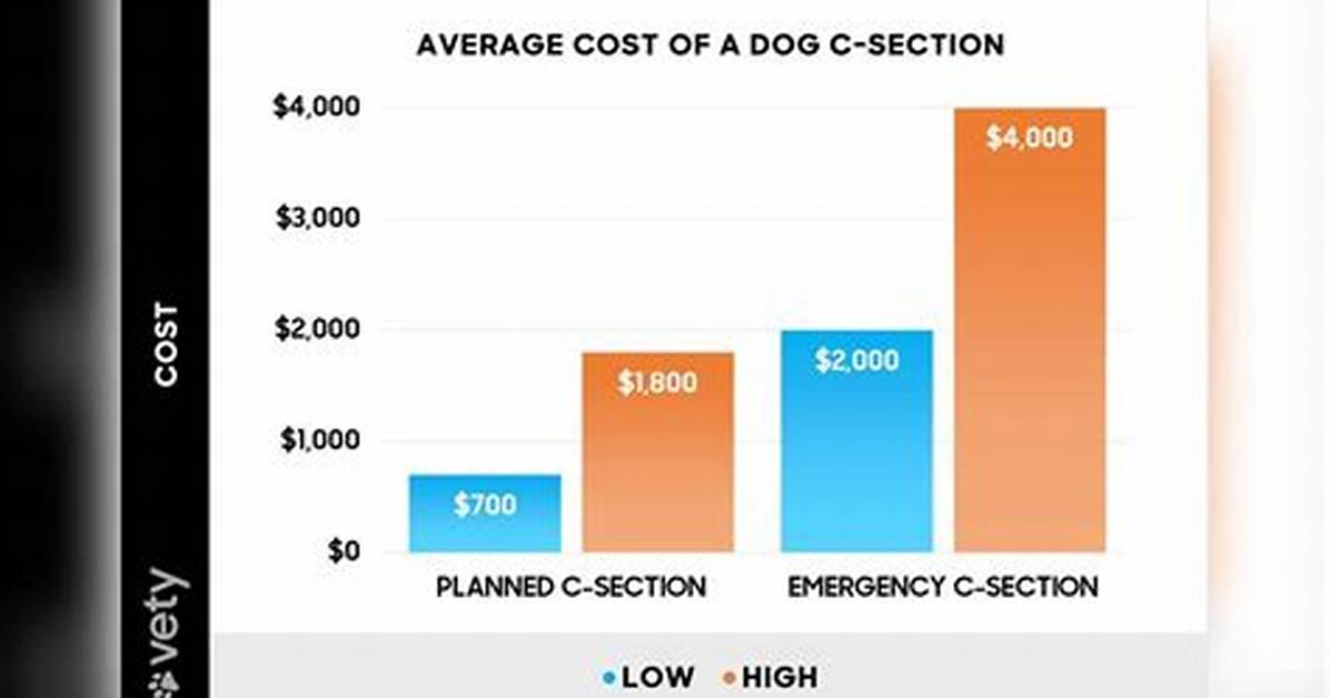 How Much Do C-Sections Cost for Dogs?