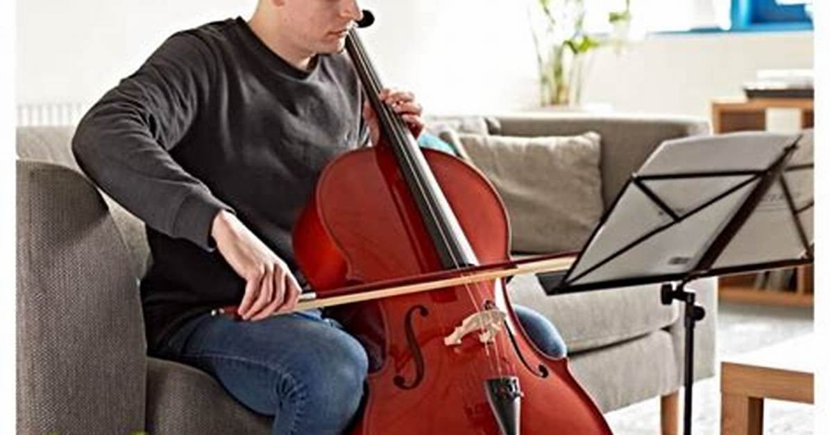 How Much Do Cellos Cost?
