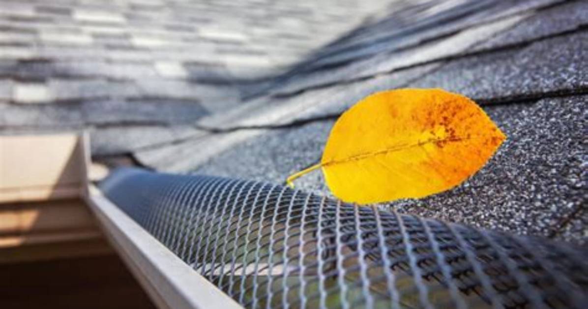 How Much Do Leaf Guards Cost per Foot