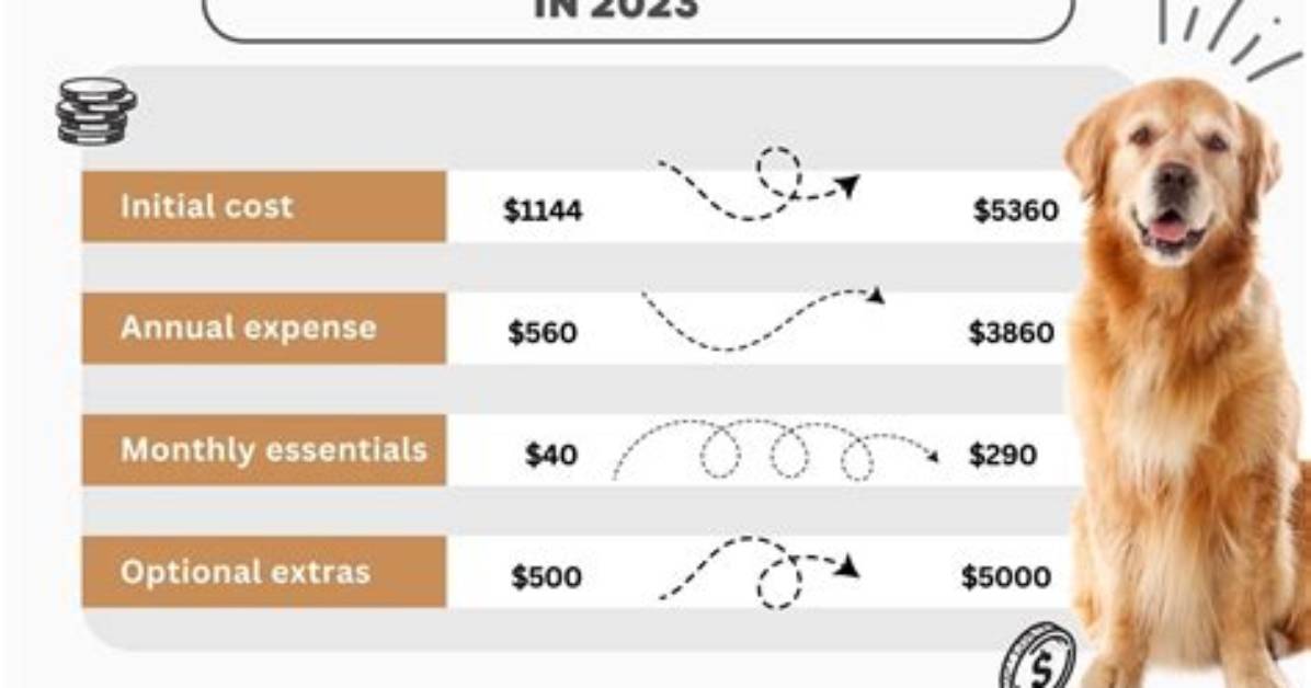 How Much Do Puppys Cost?
