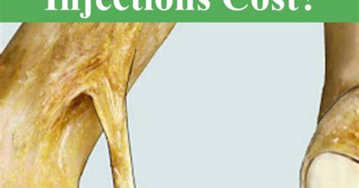 How Much Do Stifle Injections Cost?