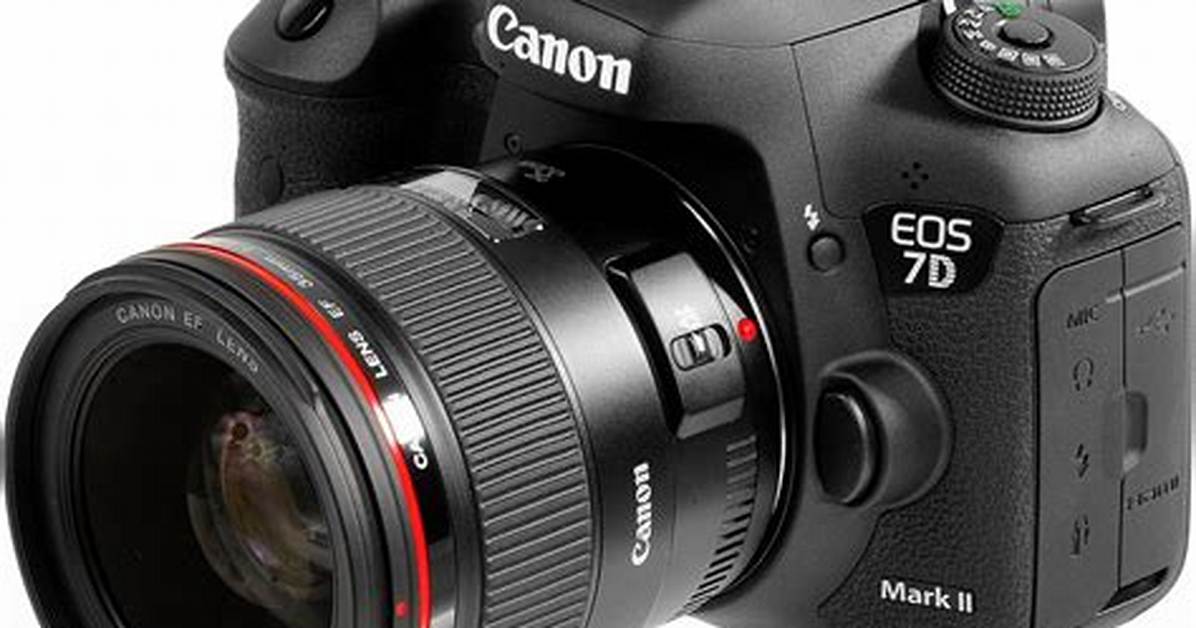 How Much Does a Canon 7D Cost?