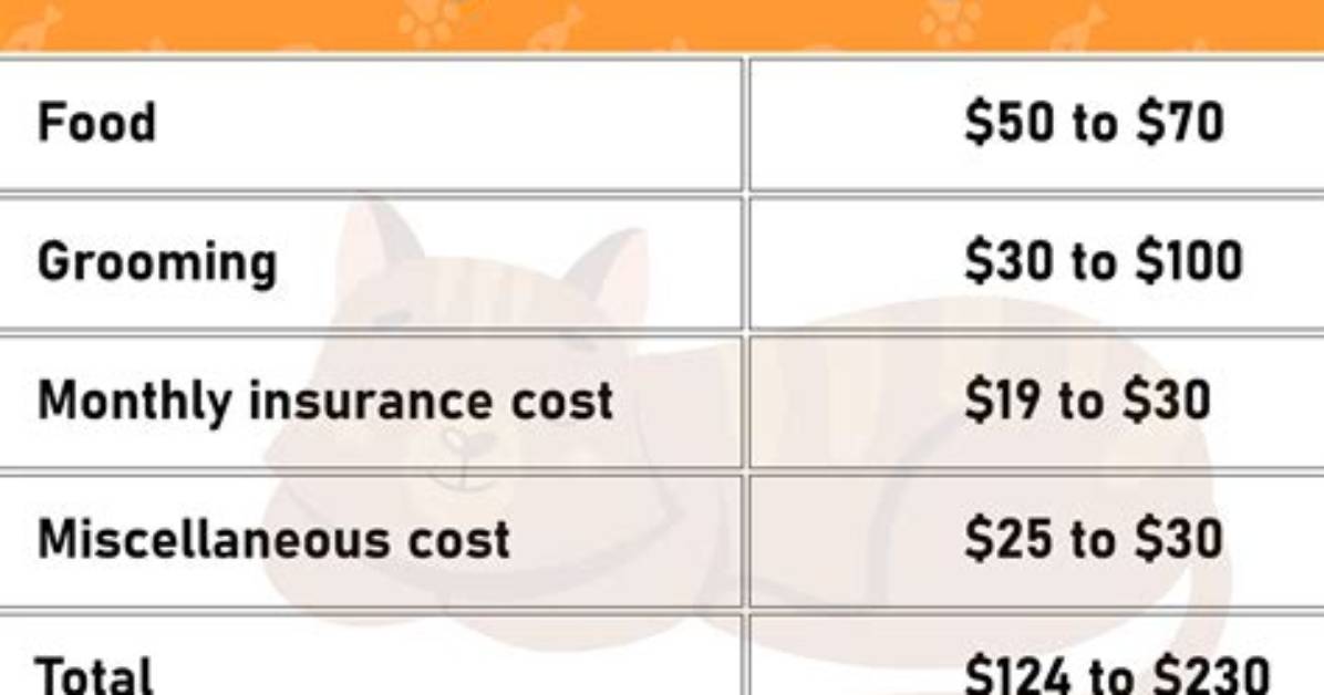 How Much Does a Cat Cost at Petco