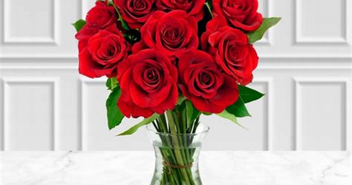 How Much Does a Dozen Roses Cost