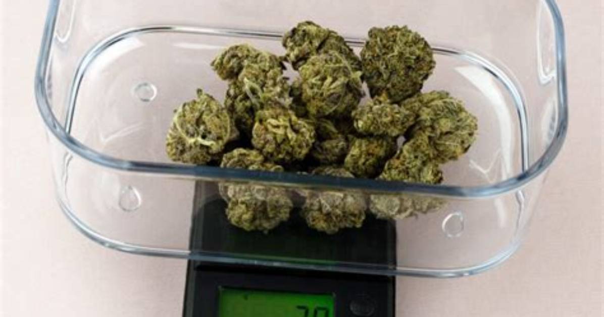 How Much Does a Gram Weigh