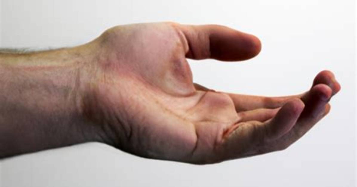 How Much Does a Hand Model Make