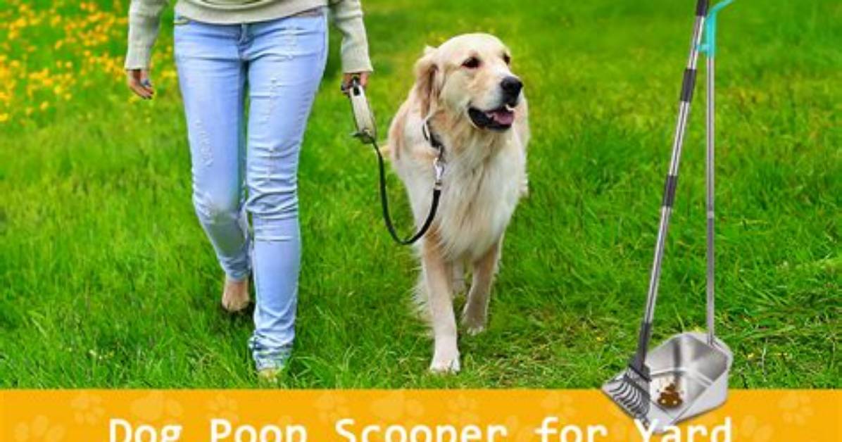 How Much Does a Pooper Scooper Make