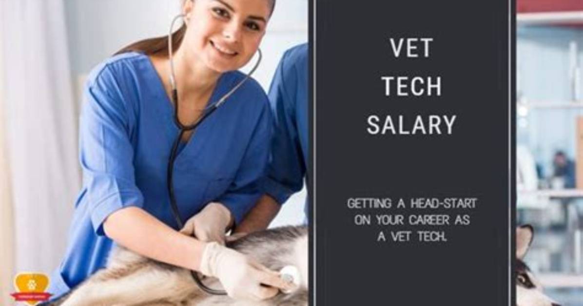 How Much Does a Vet Tech Get Paid