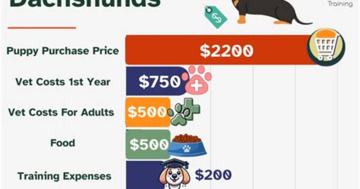 How Much Does a Weiner Dog Cost?