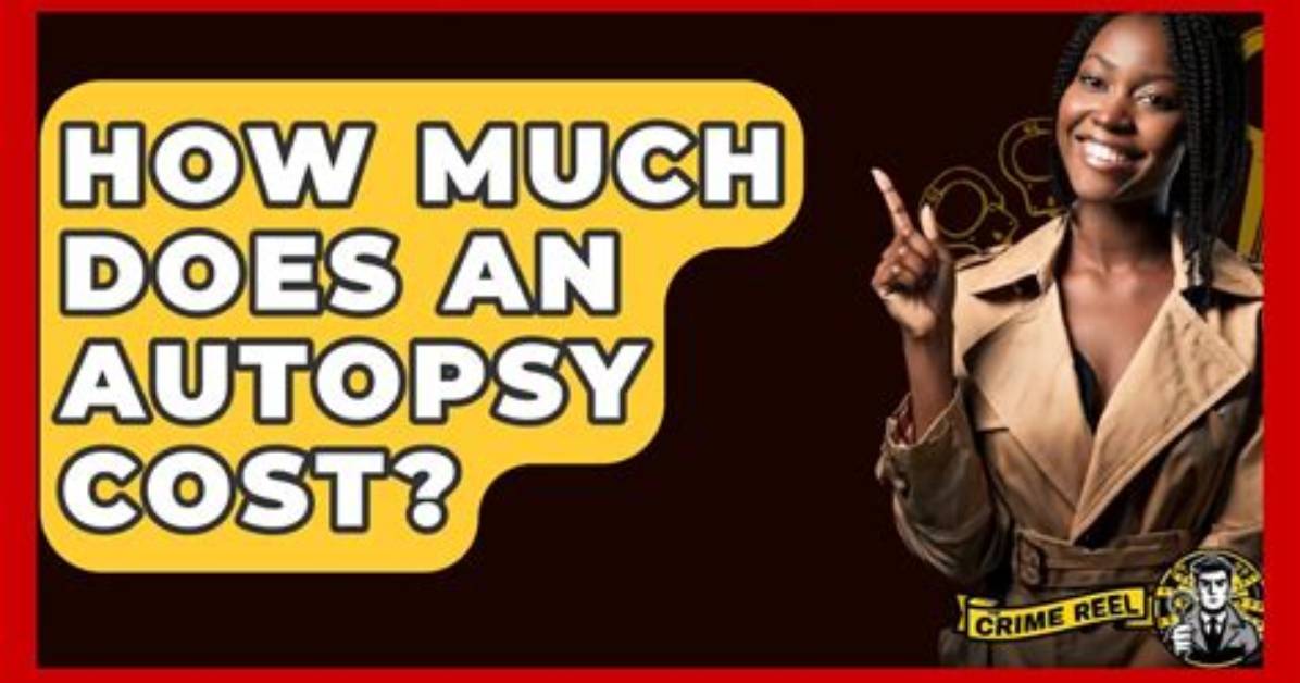 How Much Does an Autopsy for a Dog Cost?