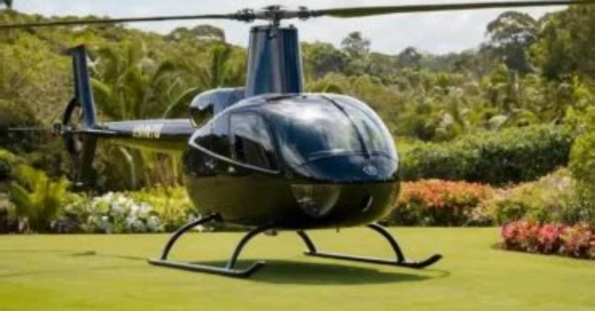 How Much Does an Eagle Cost?