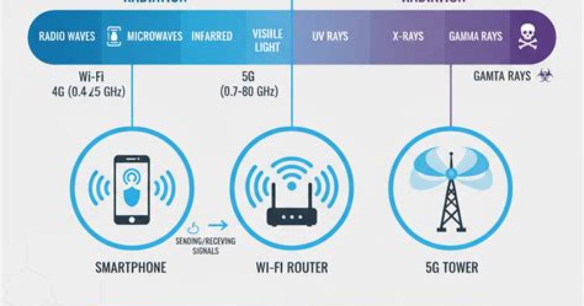 How Much Does an Emf Cost