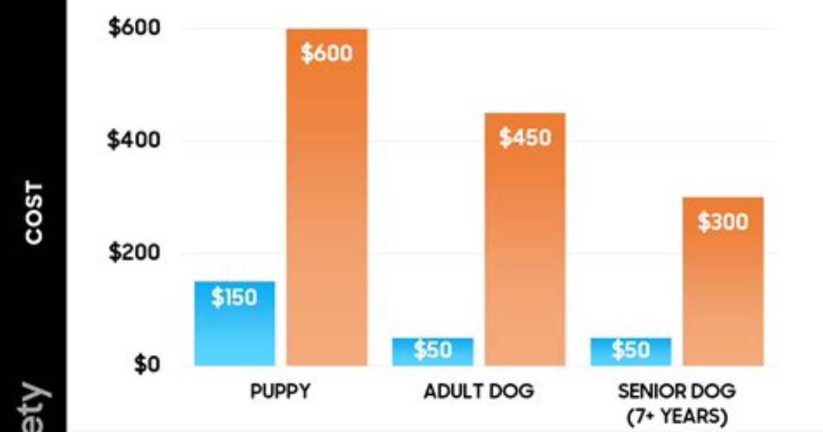 How Much Does It Cost to Adopt in Texas?
