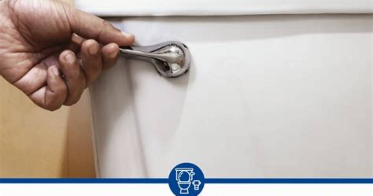 How Much Does It Cost to Flush Steering Fluid