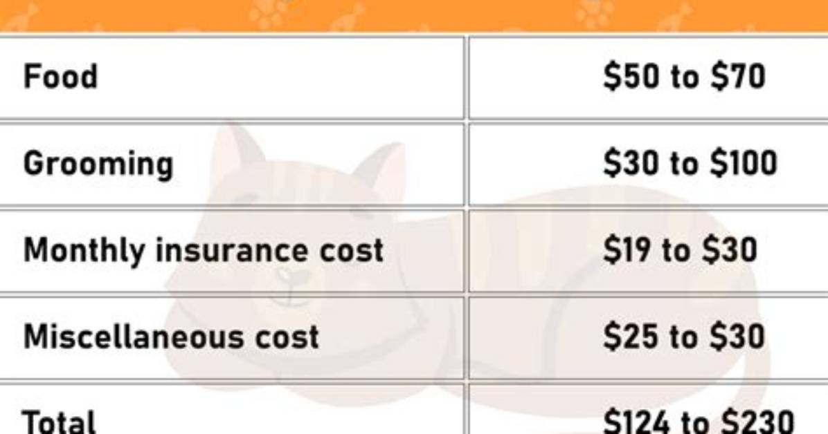 How Much Does It Cost to Take Bart