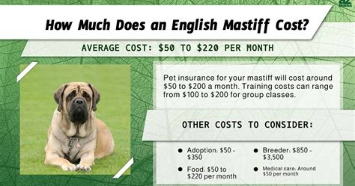 How Much Does Mastiff Cost