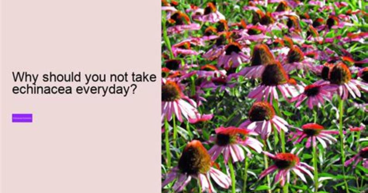 How Much Echinacea Should I Take