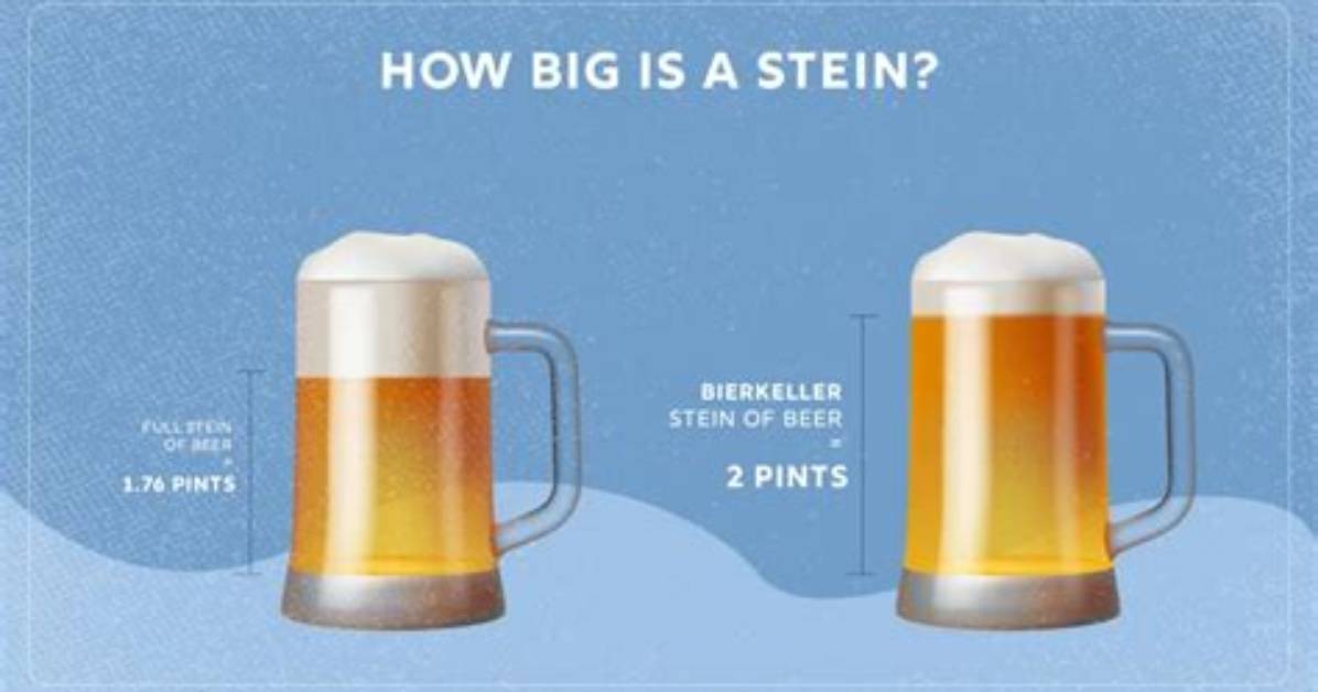 How Much Is a Beer Stein